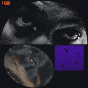 Malik - Single