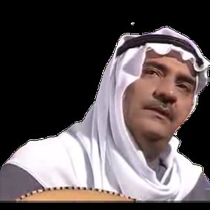 Avatar for عبدالحميد السيد