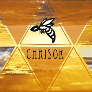 Chrisok 的头像