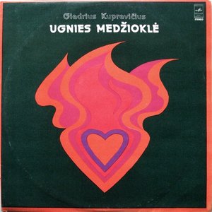 ugnies medžioklė