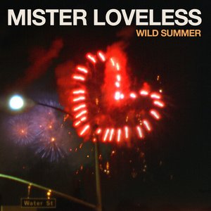 Wild Summer - Single