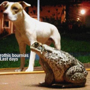 Rothis Bournias 的头像