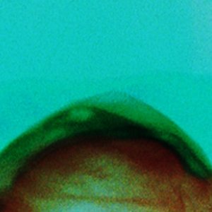 Avatar for Blood Room / SOLO1