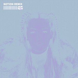 The Days (NOTION Remix) - Single