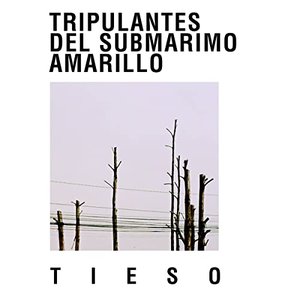 Tieso