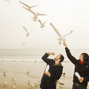 The Terrordactyls photo provided by Last.fm