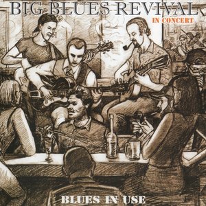 Blues In Use