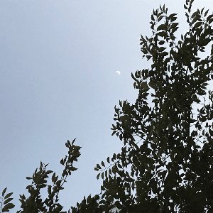 Last Night - Single