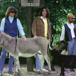 The Richies 的头像