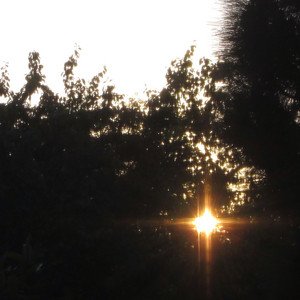 In Some Time - Single