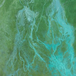 Organic Music Tapes, Vol. 1