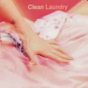 Clean Laundry - Single