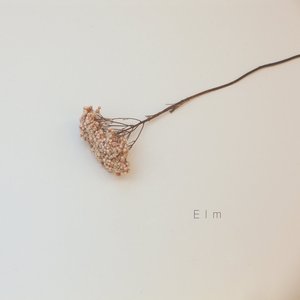 Elm