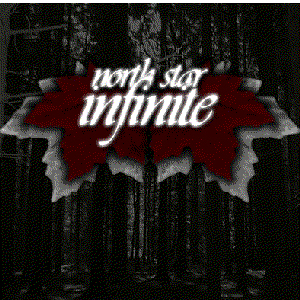 Image for 'North Star Infinite'