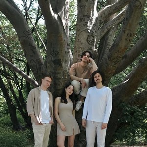 The Pamphlets 的头像