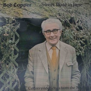 Sweet Rose in June - Countryside Songs from the South