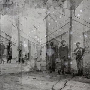 LE 1991 的头像