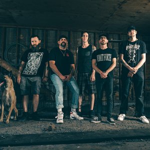 Malinois 的头像