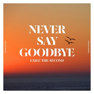 NEVER SAY GOODBYE