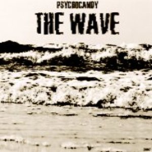 Image for 'THE WAVE'