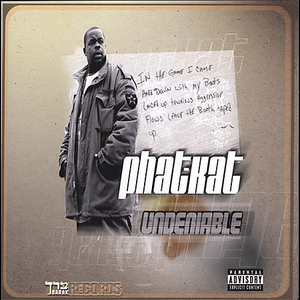 The Undeniable LP cover