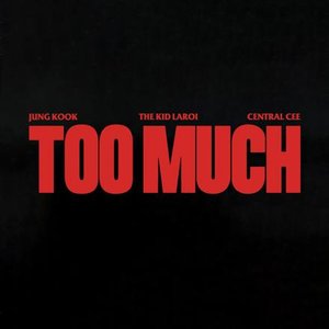 TOO MUCH (Instrumental)