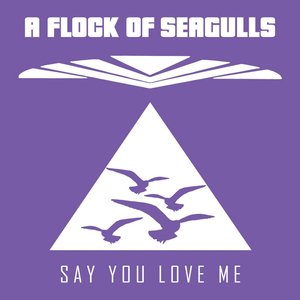 Say You Love Me