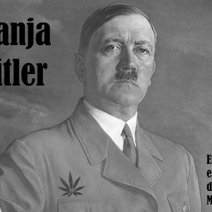 Einen Sieg erringen durch das Marihuana