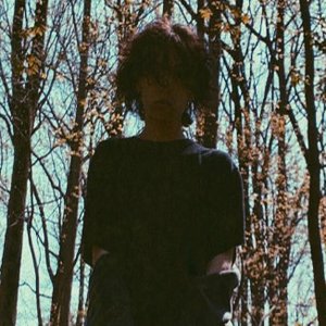 dltzk 的头像