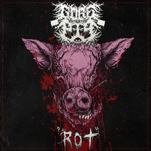Rot