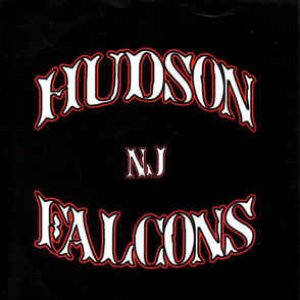 Hudson Falcons