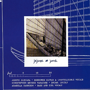 Junk cover