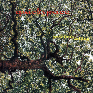 Precious Falling cover