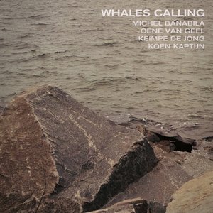 Whales Calling