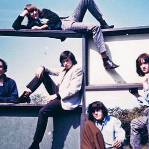 The Little Darlings 的头像