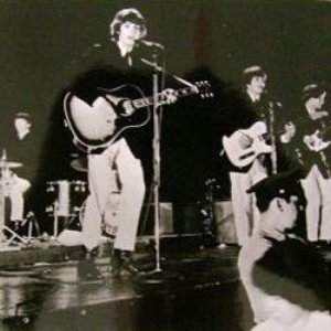 The Hi-Boys 的头像