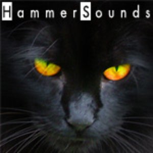 Avatar for HammerSounds