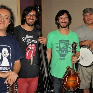 Dotô Tonho e Seu Bando 的头像