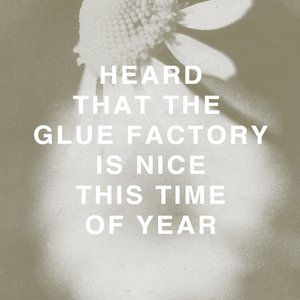 The Glue Factory