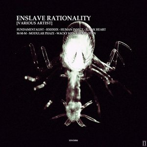 Enslave Rationality [V/A]