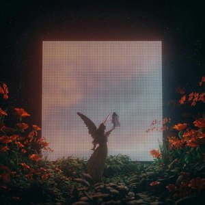2019 - Angel