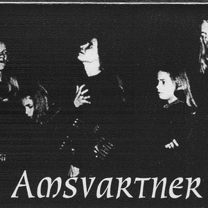 Amsvartner 的头像