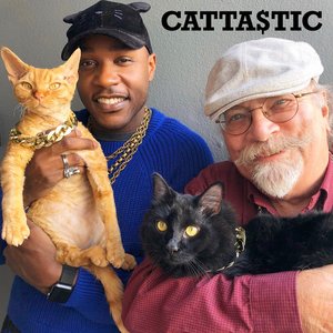 Cattastic