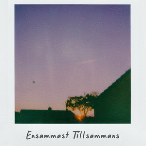 Ensammast tillsammans