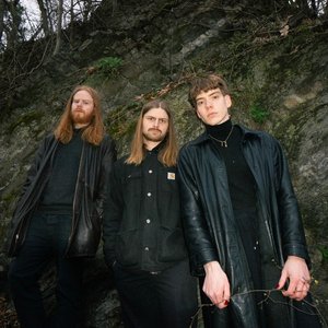 ROSA FAENSKAP 的头像