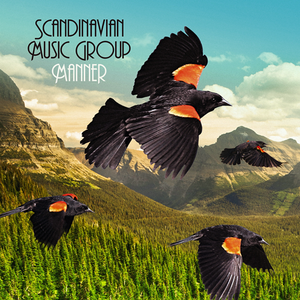 Scandinavian Music Group - M�nner - Zortam Music