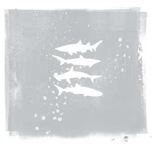 Shark Remixes