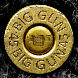 Image for 'Big Gun'