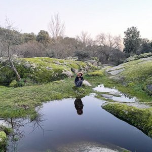 Gideo 的头像