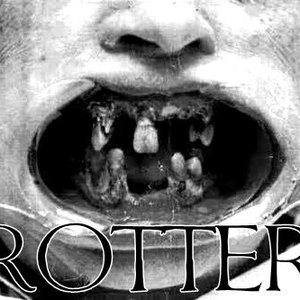 Rotter 的头像
